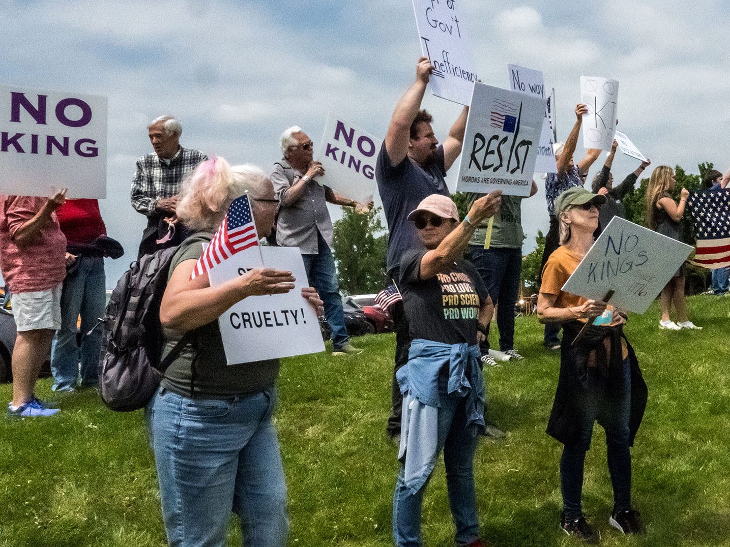 A group of people holding protest signs, including ones reading "NO KING," "CRUELTY!," and "RESIST," while standing on grass in an outdoor setting. Some individuals hold American flags.