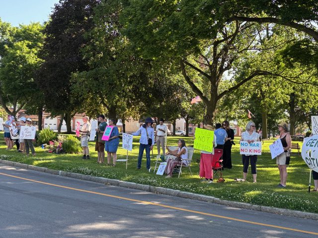A group of people standing on a grassy area holding various protest signs, such as "STOP THE WAR" and "NO WAR NO KING," with trees and a road in the background.